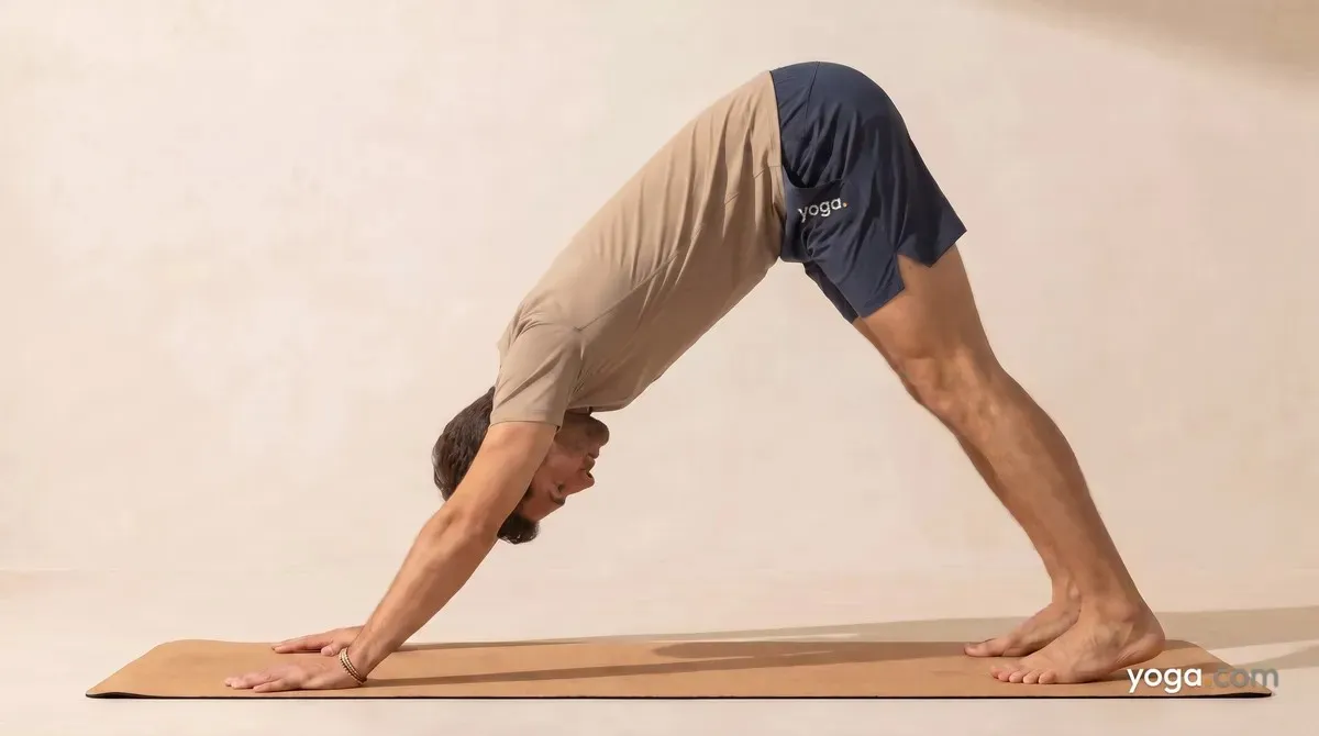 Downward-Facing Dog Pose (Adho Mukha Śvānāsana) - by Hannah Cole
