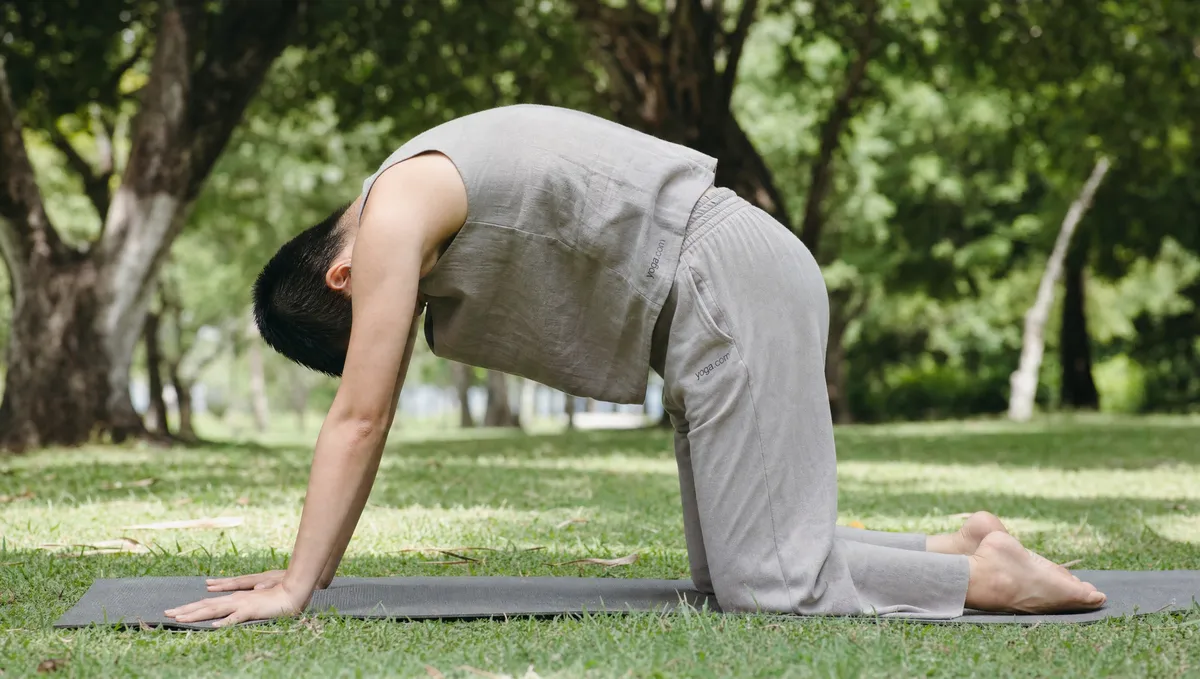 A Simple Yoga Sequence for Spinal Mobility: The Poses, the Order, and What to Expect — pillar item